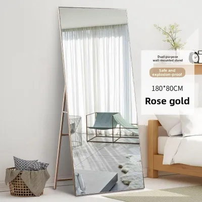 Trendy Large Full Length Mirror