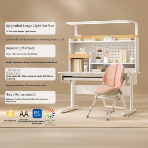 MEIHAOTONGNIAN | Ergonomic Adjustable Eye-Protecting Children Study Desk