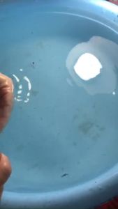 10gr30g Tổ Yến Sào Khánh Hòa Tinh chế