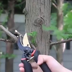 Kéo cắt tỉa cành cây đa năng bằng thép cứng tay cầm bọc nhựa KCTC.D01