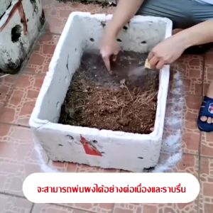 กำจัดปลวกตายยกรัง ได้ผล 100% ยากำจัดปลวก เหยื่อปลวก กำจัดปลวก เหยื่อกำจัดปลวก ยาปลวก อาหารปลวก ฆ่าปลวกตายยกรัง