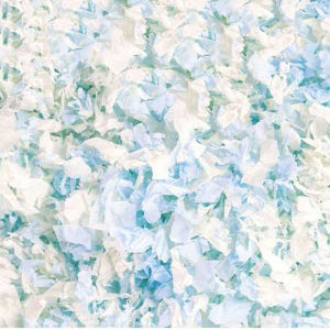 850g Paper Cotton Hamster Bedding Dust-Free Paper Fluff Large Pack Odor Control Super Absorbent Warm Pad for Syrian Hamster