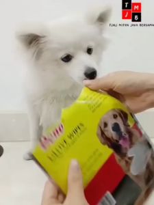 Glove Wipes Dono Sarung Tangan Tisu Basah Hewan Tissu Anjing Kucing Kelinci Kelamin Satuan