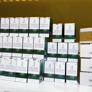 Suplemen Herbal Yacona untuk Diabetes: Atasi Masalah Sel Beta Pankreas