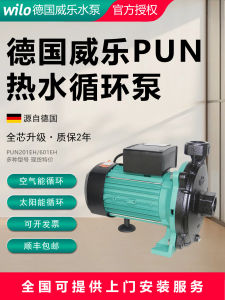WiLO Pump PUN201/601/402/403/750EH Air Source Heat Pump Solar Energy Circulation Pump Cast Iron Body Screw Connection Ground Installation
