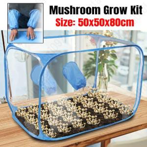 Mushroom Growing Tent Kit Mycology Still Air Box Mycology Fume Hood Propagation Station For Scientists/ Home Mushroom Growers