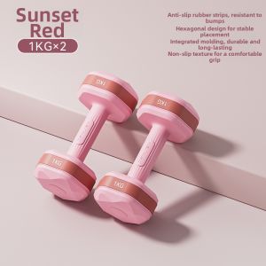 PINJIAN | Home Fitness Dumbbell 2kg Pair