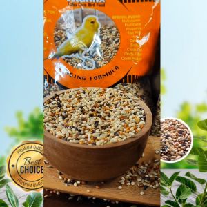 Phoenix Vitamix: Pakan Burung Kenari Sehat & Berkualitas