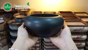 Pot Keramik Bonsai Sukulen Kaktus Bulat Kecil Small