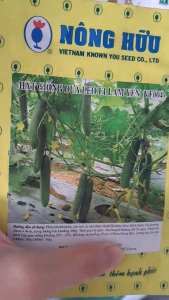 (Gói 10gr) Hạt Giống Dưa Leo F1 Lam Yến (VF004) NÔNG HỮU - Ra trái trên thân chính và thân chèo