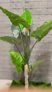 Dekorasi Taman Aesthetic Tanaman Hias Pohon Alocasia 9 Daun Dekorasi Taman Bunga / CZ-30