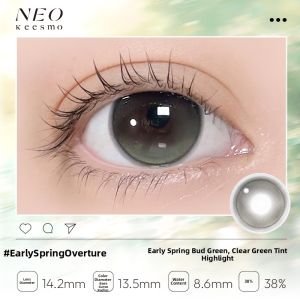 NEO KEESMO | Korean Style 6-Month Replacement Colored Contact Lenses 2 Pcs