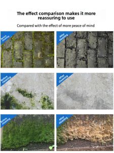 DILI | Powerful Algae and Moss Remover for Concrete and Wall Surfaces