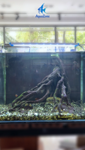 Đèn LED Máng Kẹp XT - Ánh Sáng Trắng/RGB 4 Hàng Chip Sáng Mạnh Chân Kéo Dài 10cm Kẹp Bể Cá Chắc Chắn