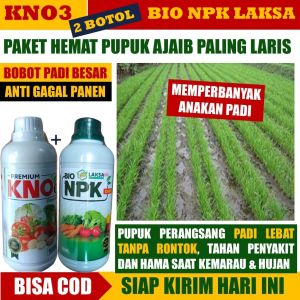 (PAKET PUPUK PADI) 2 BOTOL PUPUK PADI Penambah Anakan Padi biar Banyak dan Besar Pupuk Padi Paling Laris KNO3 PREMIUM dan NPK LAKSA Grow - Pupuk Padi Terlaris isi 2 Botol - Paket Obat Penambah Bobot Padi Terbaik