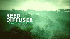 ARA Reed Diffuser LEMONGRASS Pengharum Pewangi Ruangan Aromatherapy