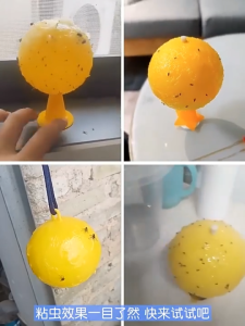 Fly Ball Trap Bola Perangkap Serangga Lalat Buah Melekit Bee lebah Fruit Flies Insect Catcher 苍蝇球 果蝇球 Garden Tools Kit