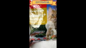 Animalnco Premium Dry Food Adult Salmon dan Tuna With Goat Milk 800gr