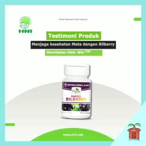 Kapsul Ekstrak Bilberry Mata Rabun Mines Vitamin Minus Katarak Gatal HNI HPAI HPA