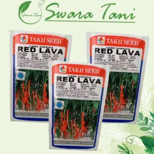 Benih Cabe Keriting RED LAVA Isi 10gram Takii Seed