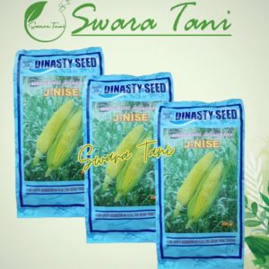 Benih Jagung Manis J NISE 250 gr Original