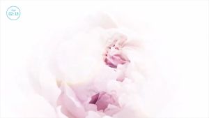 Nước dưỡng hoa hồng giảm thâm nám và cải thiện Keratin tức thì -  Atomy Absolute Snow Toner 150ml - 애터미 앱솔루트 스노우 토너 - Атоми Абсолют Сноу Тонер