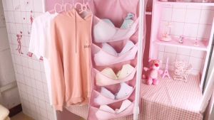 ที่แขวน ที่เก็บชุดชั้นใน ราวตากผ้า ที่แขวนติดผนัง ไม้แขวนเสื้อ ที่แขวนถุงเท้า ชั้นวางเสื้อผ้า ตู้เสื้อผ้า ตู้เสื้อผ้าผ้า