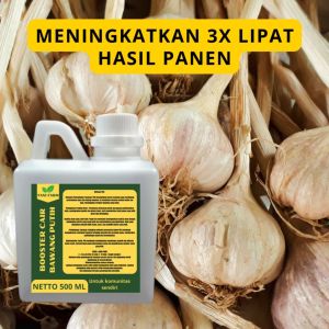 Pupuk Pelebat Bawang Putih / Pupuk Bawang Putih / Pupuk Booster Bawang Putih / Pupuk Bawang Putih