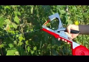 เครื่องรัดต้นไม้ เครื่องรัดกิ่ง ต้นไม้ เทปรัดกิ่ง เหล็กกล้าไร้สน กรรไกรรัดกิ่งไม้ เทปรัดกิ่ง คีมรัดกิ่ง Tape Tool สำหรับพืชตะกูลไม้เลื้อย เครื่องผูกยอด รัดกิ่ง ผูกยอด กิ่งองุ่น เมล่อน เครื่องมัดกิ่งไม้ （COD）