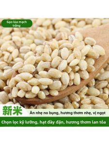 Gạo Lúa Mì Tây Tạng Tươi Từ Nông Trại Đa Chức Năng