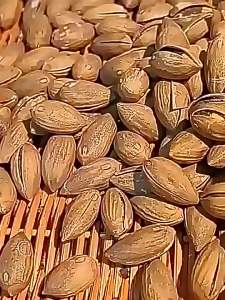 LIANGDIE | Hạt Bách Trung Quốc Nướng 500g