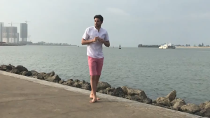 SharpSuit 6 COLOUR Chinese collar mens short-sleeved cotton shirt polo shirt#1037