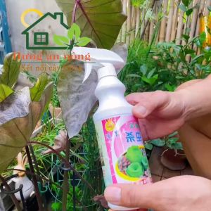 500ml - Ami thuố.c trừ sâ.u bọ rầy rệp s.âu dưới lòng đất ốc sên kiến-chuyên dành cho cây mọng nước(xem trong mô tả )
