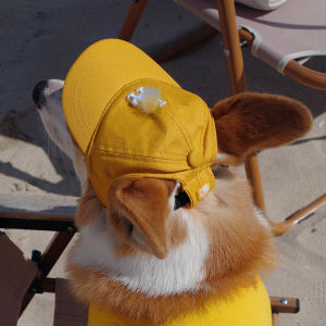 Pet Dog Outing Photography Trendy Sun Hat Exposed Ears Xiaohongshu Internet Celebrity Baseball Cap Adjustable Corgi
