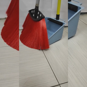 Dustpan with Comb Teeth