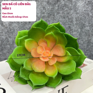Sen đá nhiều mẫu dùng cắm chậu cắm điểm gốc lan trang trí. Hoa Lụa LyLy Decor