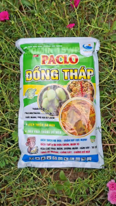 [THIEN THINH SHOP] PACLO ĐỒNG THÁP 15WP 1KG – Paclobutrazol 15% Kích Thích Ra Hoa Phân Hóa Mầm Hoa Chống Đổ Ngã