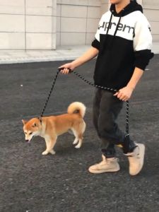 Pet Dog Leash with Highly Reflective Threads Adjustable  P Chain  Leash choker for Medium Large Dogs pet accessories