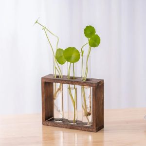 Bình Thủy Canh Bằng Kính Có Giá Đỡ Gỗ Thiết Kế Treo Tường Trong Suốt Trang Trí Bàn Làm Việc Nhà Hoặc Văn Phòng Phong Cách Hiện Đại