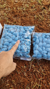 Storm BASF Racun Tikus 50g 100g 250g 500g 1kg 10kg Rat Poison Mencit Rumah Tikus Belukar Tikus Hitam Tikus Mondok Tikus Sawah Tikus Norway flocoumafen 0.005
