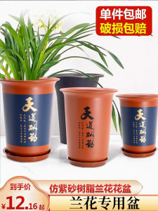 Classic Orchid Flowerpot by IRIS/Alice Large Resin Plastic Potted Plant Container for Windowsill and Balcony Decor