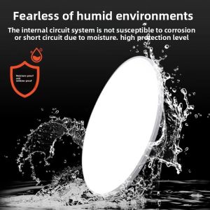 RUILUO | Smokeproof Ceiling Light
