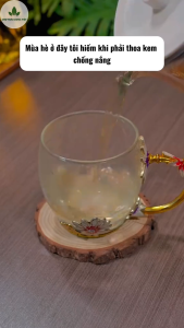 10 set tam bạch thang trà tam bạch set mix sẵn gồm (Cam thảo bạch linh bạch truật bạch thược)