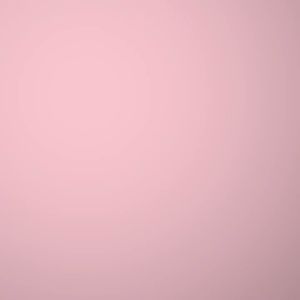 Mineral Botanica The Grail Vivid Matte Lipstick