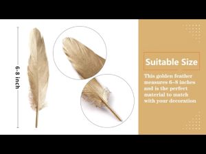 50pcs Natural Goose Feathers Gold Tipped White Feathers DIY Clothing Wedding Party Decorations