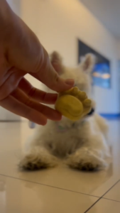 Naturio ขนมสัตว์เลี้ยง Freeze-Dried Cat Dog คุกกี้อุ้งเท้า ขนมแมว ขนมสุนัข อกไก่+ตับ+ไข่แดง ฟรีซดราย Freeze Dried ฟู้ดเกรด100%