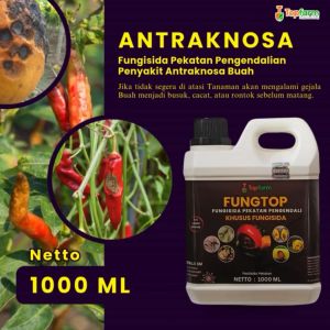 Fungisida Topfarm / Obat Jamur Akar Karet / Obat Jamur Akar Cabe / Obat Jamur Buah Buahan / Obat Jamur Batang Bonsai / Obat Jamur Batang Jeruk / Obat Jamur Batang Durian / Obat Jamur Pada Batang Jeruk