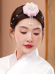 Korean Headband Hair Accessories Princess Yanji Classy Hair Bag Headdress Hanbok Ethnic Style Accessories Adult and Children Performance