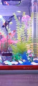 Batu Dekoratif Aquarium Warna-Warni Menyala di Gelap - 100pcs