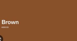 Hijab & Niqab |  Penutup Penuh Hijab Fabrik: chiffon berkualiti baik